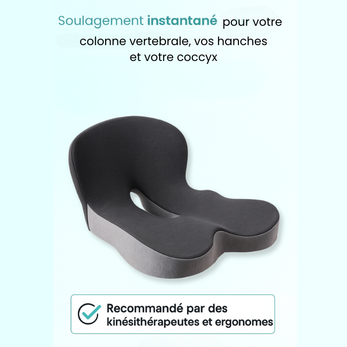 Coussin d'assise Nuvela+